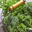 Cải xoăn (cải Kale) hữu cơ